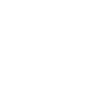 Meineke Car Care Centers logo.